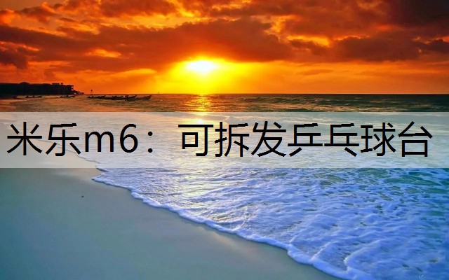 <strong>米乐m6：可拆发乒乓球台</strong>