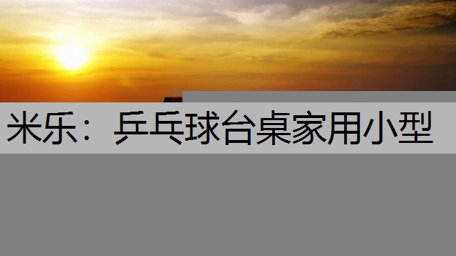 <strong>米乐：乒乓球台桌家用小型</strong>