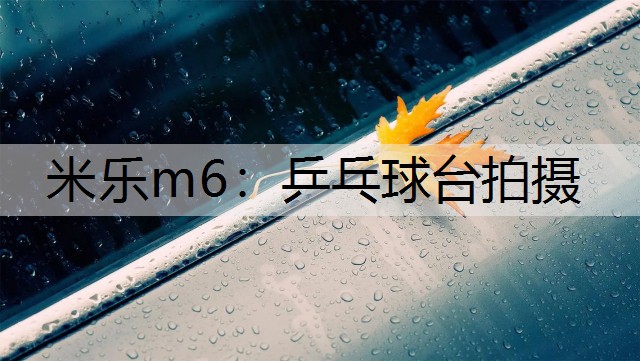 米乐m6：乒乓球台拍摄