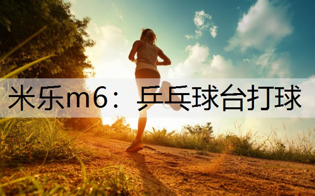 米乐m6：乒乓球台打球