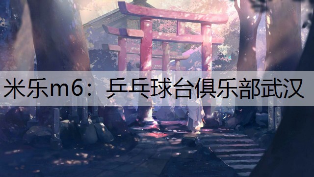 米乐m6：乒乓球台俱乐部武汉