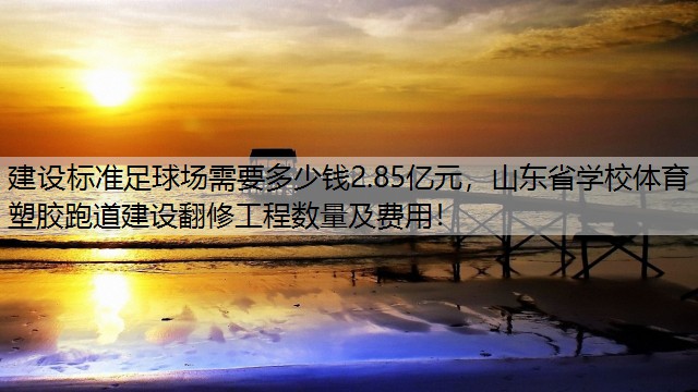 建设标准足球场需要多少钱2.85亿元，山东省学校体育塑胶跑道建设翻修工程数量及费用！