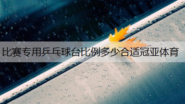 <strong>比赛专用乒乓球台比例多少合适冠亚体育</strong>