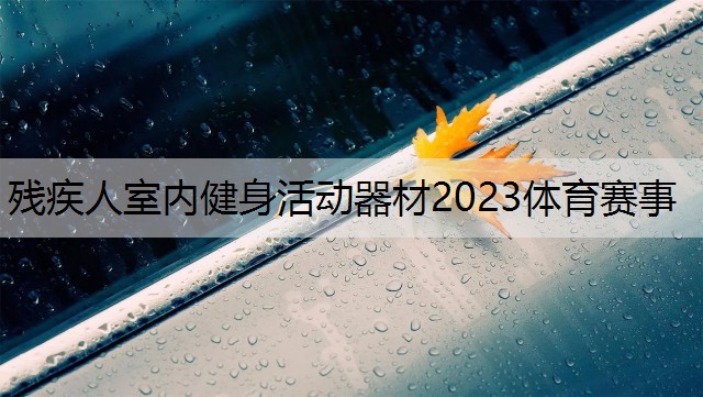 残疾人室内健身活动器材2023体育赛事