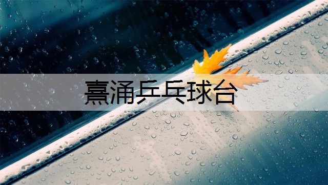 <strong>熹涌乒乓球台</strong>