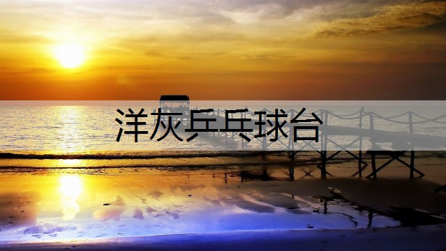 <strong>洋灰乒乓球台</strong>