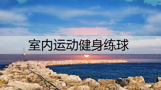 <strong>室内运动健身练球</strong>