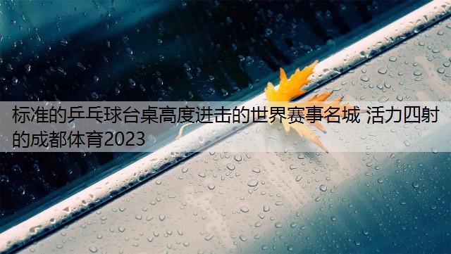 标准的乒乓球台桌高度进击的世界赛事名城 活力四射的成都体育2023