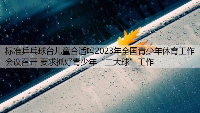 标准乒乓球台儿童合适吗2023年全国青少年体育工作会议召开 要求抓好青少年“三大球”工作