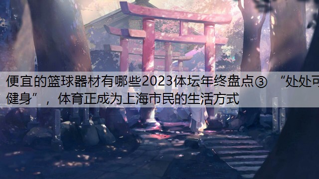 便宜的篮球器材有哪些2023体坛年终盘点③ “处处可健身”，体育正成为上海市民的生活方式