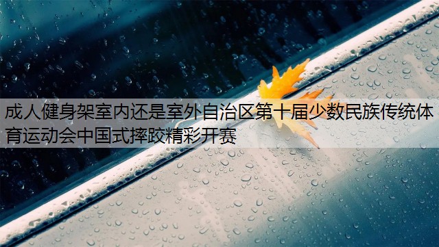 成人健身架室内还是室外自治区第十届少数民族传统体育运动会中国式摔跤精彩开赛