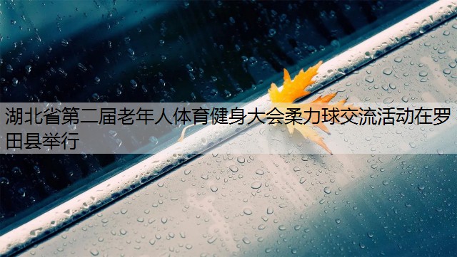 湖北省第二届老年人体育健身大会柔力球交流活动在罗田县举行