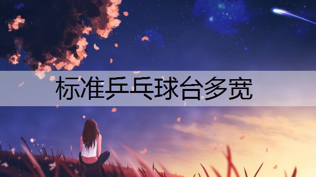 标准乒乓球台多宽