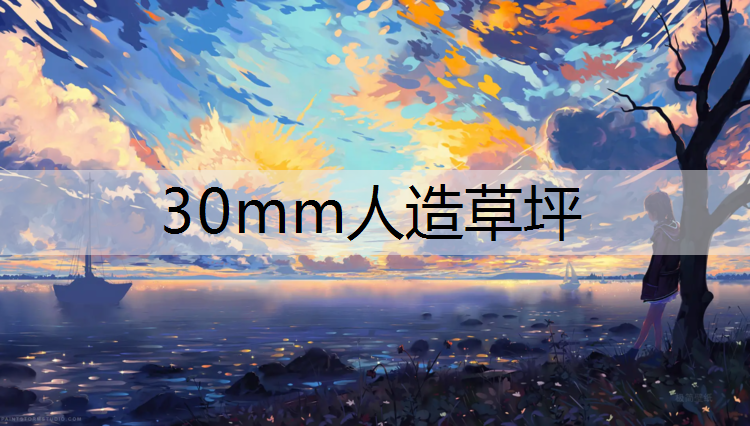 30mm人造草坪